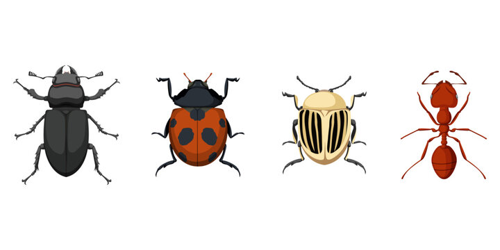 Bug icon collection in a flat design. Set of beetle silhouette. Vector insect logo