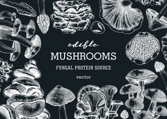 Mushrooms banner on chalkboard. Artistic autumn forest plant frame. Fall background with edible fungi sketches. Hand drawn healthy food, fungal protein, stalks, and caps in vintage style © sketched-graphics
