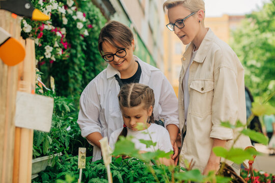 Daughter buying tomato seedling with lesbian couple at shop