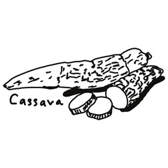 Cassava doodle drawing, line draw of fruit and food
