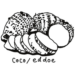 coco doodle drawing, line draw of fruit and food