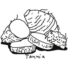 Tannia doodle drawing, line draw of fruit and food
