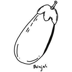 brinjal drawing cartoon, brinjal for cooking and food