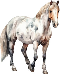 Naklejka na ściany i meble Horse Watercolor Illustration. Generative AI