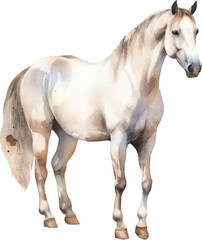 Horse Watercolor Illustration. Generative AI