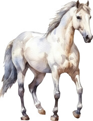 Obraz na płótnie Canvas Horse Watercolor Illustration. Generative AI