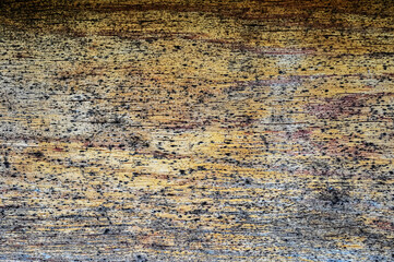 texture background