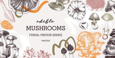 Collage-style mushrooms vector background. Trendy autumn forest plant frame. Fall banner design with hand drawn fungi sketches and abstract shapes. Healthy food, fungal protein vector illustration - obrazy, fototapety, plakaty