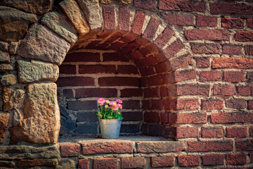 Small flower pot in the shape of a bucket with blossom flowers in the niche of a brick wall. Picturesque summer scene of botanical garden of Essen town. Beautiful outdoor scene in Germany, Europe.