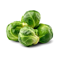 Fototapeta premium Brussels sprouts isolated on transparent or white background, png