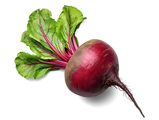 Beetroot with leaves isolated on transparent or white background, png