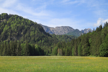 Fototapeta na wymiar View from Bayrischzell to mountain 