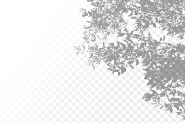 Obraz premium The effect of overlaying shadows. Natural light layout.Realistic shadow tropical leaves and branches on transparent checkered background.