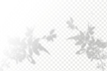 Obraz premium The effect of overlaying shadows. Natural light layout.Realistic shadow tropical leaves and branches on transparent checkered background.