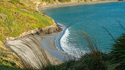Pilots Beach at Taiaroa Head / Pukekura end of the Otago Peninsula