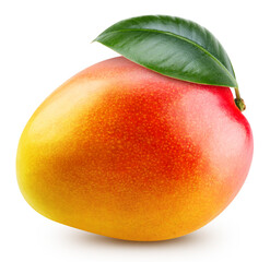 Mango fruit isolated on white background - 614682801