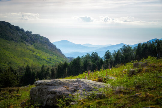 Vall&eacute;e du Pays Baque