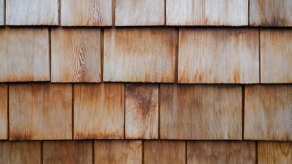 shingle. the wall of a cottage covered with shingles.