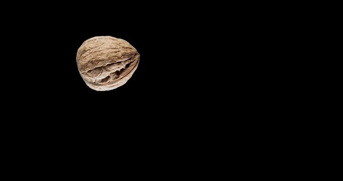 One walnut slowly rise and fall against on a black background. 