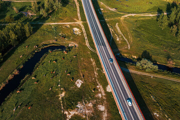 Aerial shot of cows grazing on pasture land near the highway, drone pov