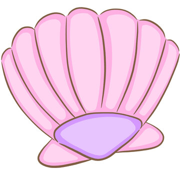 Sea shell