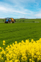 Agriculture intensive conventionnelle - épandage de pesticide sur un champ de céréales au printemps