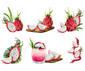 Red pink pitaya dragon fruits watercolor illustration set with whole pitaya, slices compositions. Realistic botanical drawing of exotic cactus plant for summer flavors and designs isolated on white