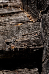 tree details