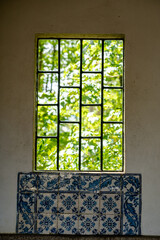 window view