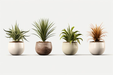 Homemade green plants in pots standing in a row isolated on white background clipart. Growing succulents for home garden. Generative AI 3d render illustration.