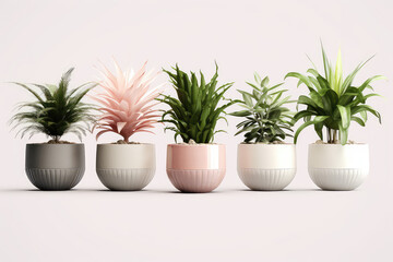 Homemade green plants in pastel colors pots standing in a row isolated on light color background clipart. Growing succulents for home garden. Generative AI 3d render illustration.