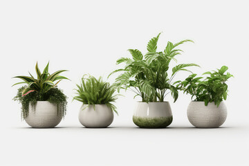 Fototapeta na wymiar Homemade green plants in grey pots standing in a row isolated on white background clipart. Growing succulents for home garden. Generative AI 3d render illustration.