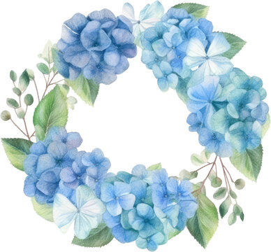 hydrangea wreath flowers watercolor isolated