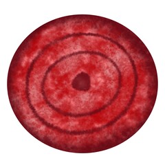 Watercolor drawing of beets on a white background, vegetables for menu design, cards, card stock, , Isolated elements on a white background. Watercolor hand drawing ,red beetroot, beetroot slice