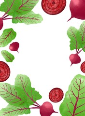 Watercolor , beet slice pattern, leaf, white background, pattern for packaging menu design, pattern for fabric, toys ,seamless pattern  ,frame made of red and green leaves