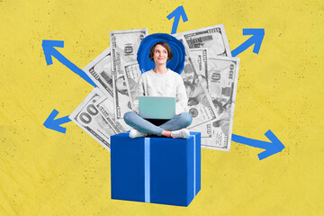 Collage picture of positive successful girl sit podium cube use netbook big dollar money bills...