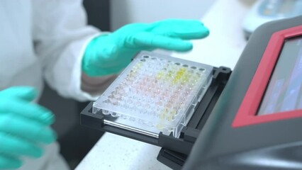 Lab worker picking up the microplates from microplate reader. Biochemical analysis in medical research laboratory.