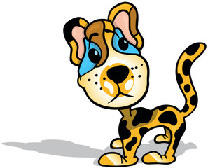 Funny Little Leopard with Blue Eyes and Turned Head