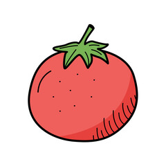Tomato doodle icon, vector single vegetable on a white background.