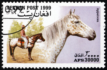 Postage stamp Afghanistan 1999 Appaloosa, horse breed