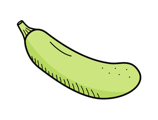Zucchini squash doodle icon. Vector single illustration on a white background.