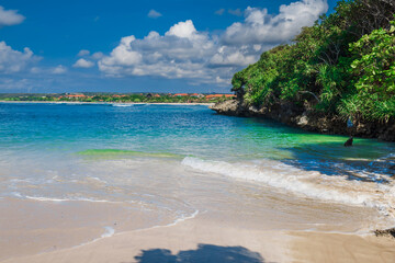 Tropical banner of beach with tropical trees, sand and  ocean.