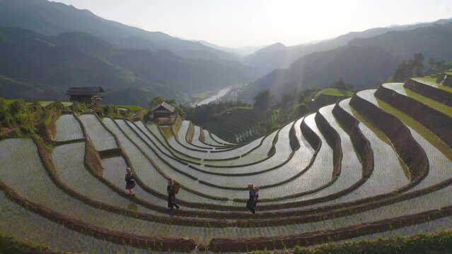 A farmer with fresh paddy rice terraces, green agricultural fields in countryside or rural area of Mu Cang Chai, mountain hills valley in Asia, Vietnam. Nature landscape. People lifestyle.