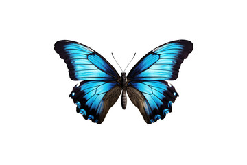 Obraz na płótnie Canvas Close-up butterfly isolated on transparent background generative AI.