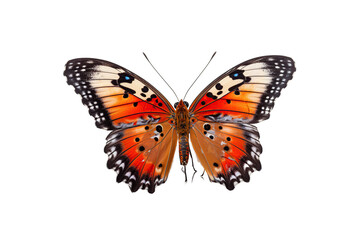 Close-up butterfly isolated on transparent background generative AI.