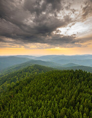 Fototapeta premium Amazing sunrise over forest hills. Beautiful landscape photo during a summer sunrise over green forests.