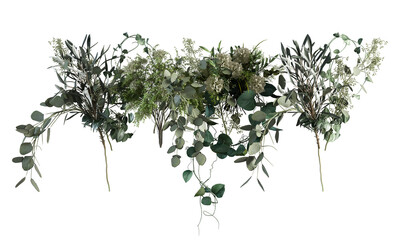 twig isolated on white