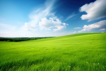 Fototapeta na wymiar Green field and meadow wallpaper like Windows