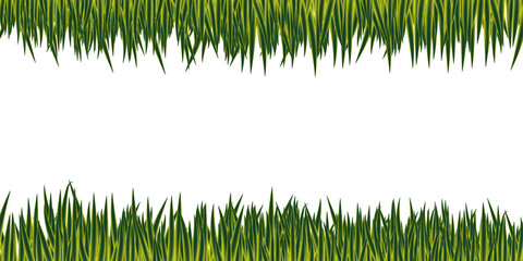 Super realistic green grass border isolated on transparent background.