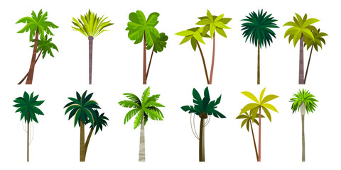 Palm tree collection. Cartoon tropical coconut and banana plant, island exotic trees, sea coast floral bush. Vector isolated set